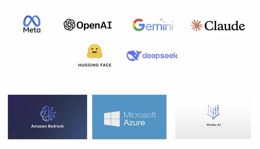 One platform. Every major LLM provider.